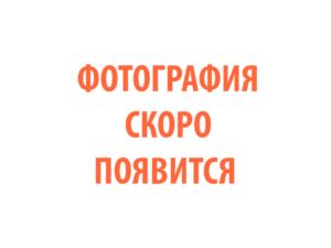 Фото 84 - Горелка TECH TS 17.